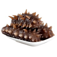 海芝屋大连 底播新鲜辽刺参  海鲜水产 鲜冻大只-试吃: 6-9只