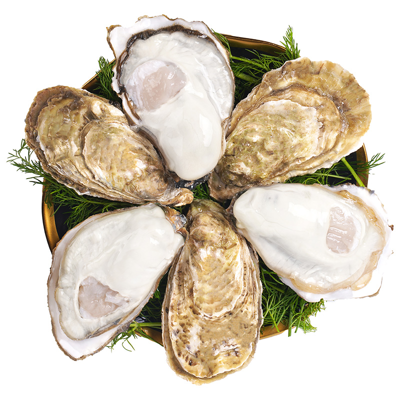 贝司令乳山生蚝鲜活5斤带箱海鲜海蛎子新鲜大牡蛎肉送蒜蓉酱