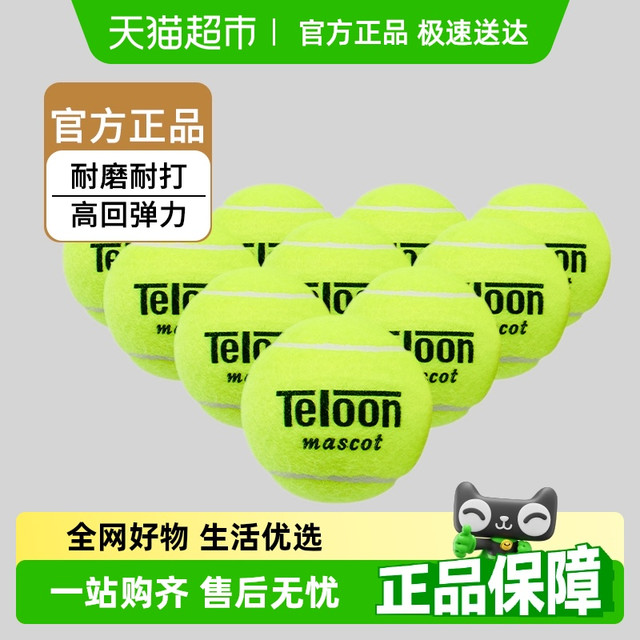 天龙 Teloon 网球用球603Rising801Ace初学训练球高回弹力袋装耐磨