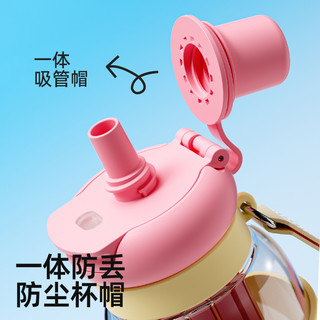 bablov水杯女生高颜值外出便携随行吸管杯运动大容量2025杯子