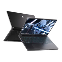 ThundeRobot 雷神 猎刃S 十三代酷睿版 16英寸 游戏本