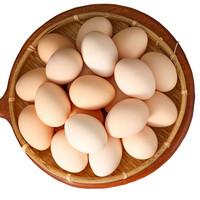 涢安 农家谷物喂养 土鸡蛋 均重50g 包装 1500g
