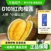 市舶士 Dr.Surprise 马来西亚 D101红肉榴莲 2.6-4斤 冷冻带壳水果