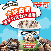 BEN&JERRY'S 本杰瑞焦糖香草 REMEO意式冰淇淋gelato进口冰激凌桶
