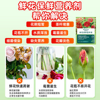 施多乐 鲜花保鲜营养液 HBX-001 鲜花保鲜剂 10ml*10包 通用型