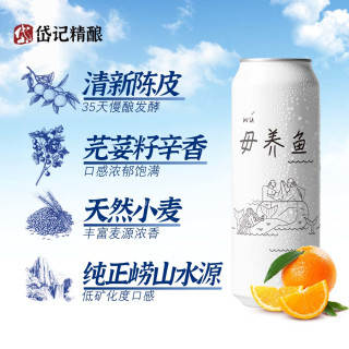 岱记精酿 白啤 330mL 24罐 整箱装