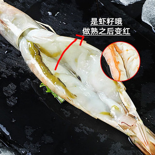  鲜随渔动 鲜活超大 冷冻海虾
