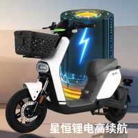 移动端、京东百亿补贴：花小马 电动自行车M11H48v24ah星恒锂电采销实测续航对置双缸前碟刹TCS防滑NFC 车架终生质保 霜灰映雪