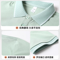 罗蒙（ROMON）冰丝凉感短袖T恤男士夏季中青年商务休闲polo领上衣 2515白色 2XL (185) 【155-170斤】