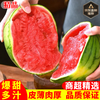 同甘园 河南 8424麒麟西瓜 3-4斤