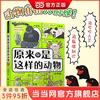 奇妙图书馆:原来你是这样的动物 当当