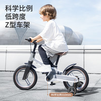 育丁堡儿童自行车平衡车二合一宝宝2一3岁到6岁男孩女款折叠单车 高级灰-基础无推杆【四种功能】 12寸
