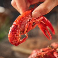 盒马加油虾 蒜香麻辣十三香口味 4-6钱 净虾1斤 小龙虾 630g 十三香口味 4-6钱