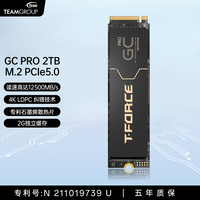 十铨 科技GC Pro SSD固态硬盘2TB M.2 NVMe PCIe5.0 2280