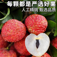 四叔公果蔬 广东糯米糍荔枝 老树果王 | 单果22g+ 5斤