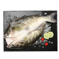 钓鱼记斑点叉尾鮰鱼 二去清江鮰鱼 江团 烤鱼红烧 生鲜 鱼 【淡水养殖】