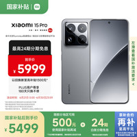 小米 Xiaomi 15 Pro 5G手机 16GB+1TB 岩石灰 骁龙8至尊版