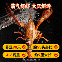  XIAOBALONG/小霸龙 速食加热即食 小龙虾