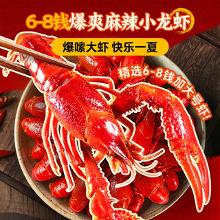 小霸龙麻辣小龙虾2025新虾速食加热即食小龙虾整虾鲜活大号宵夜追剧 750g 麻辣小龙虾（加大号） *3盒