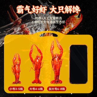 小霸龙麻辣小龙虾2025新虾速食加热即食小龙虾整虾鲜活大号宵夜追剧 750g 麻辣小龙虾（加大号） *3盒