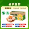 小丘山无抗山泉富硒鲜鸡蛋50g大蛋