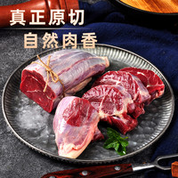 西捷 原切金钱腱牛腱子芯 冷冻生牛肉1000g