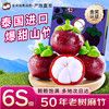 梦宛怡 泰国进口山竹 10斤品质装 5-6A山竹王