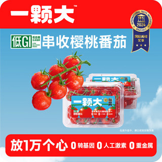一颗大™ 樱桃小番茄 水果西红柿生吃 爆汁自然成熟 便携盒装 基地直发 樱桃番茄 418g *2盒