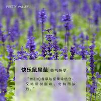 【女性生理期好伴侣】快乐鼠尾草精油5ml保湿滋润按摩身体熏香