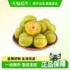 正宗贵州六马蜂糖李甜李子镇宁脱骨当季新鲜水果2斤25-30g