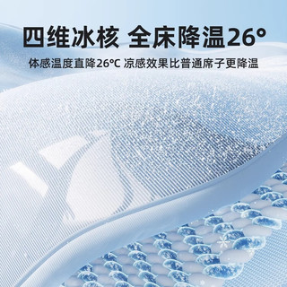 环鼎 Huadn碳光冰丝凉席 凉感因子可水洗 单人单席 冰丝席子鎏光灰120*195cm 鎏灰120*195cm单席