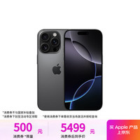 苹果 Apple iPhone 16 Pro 5G手机 128GB 黑色钛金属
