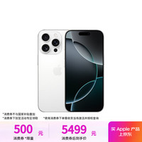 苹果 Apple iPhone 16 Pro 5G手机 128GB 白色钛金属