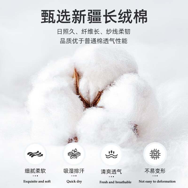 回纹章K米杏