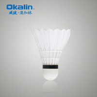 澳加林羽毛球威健精选羽毛飞行稳定耐打落点精确AC4性价比大赛及专业用 12只装 1筒 F500(2速 =77速)