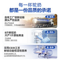 谷掌柜新疆100%有机纯骆驼奶粉330g中老年成人奶粉高钙驼乳粉6罐礼盒 有机纯驼奶粉6罐礼盒