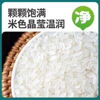 久鲤纳福五常大米2024新米产地直销现磨现发真空包装 执行标准GB/T19266 10斤五常甄选稻香米