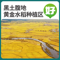  久鲤纳福 2024新米 五常大米