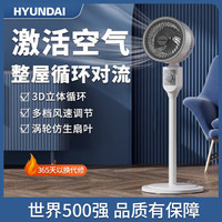 现代影音 韩国空气循环电风扇落地扇大风量摇头定时智能语音遥控净化风扇 机械款-RFS-1953