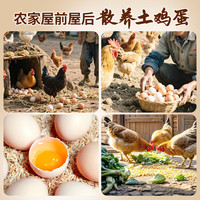 天厚玄鸟散养农家土鸡蛋谷物土鸡蛋50±5g山林散养新鲜鸡蛋土鸡蛋 大号散养土鸡蛋【30枚】特价