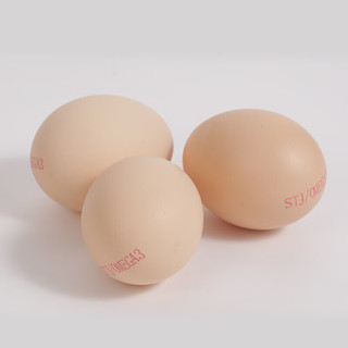 食特吉Omega3有机富硒土鸡蛋20枚 DHA 净重1.6斤 散养无抗源头直发
