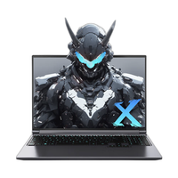 MECHREVO 机械革命 十二代酷睿版 极光X 16英寸 游戏本