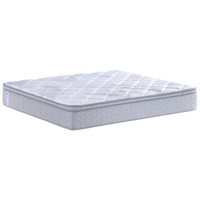 丝涟爱脊美姿弹簧乳胶记忆棉释压护腰席梦思延/定制