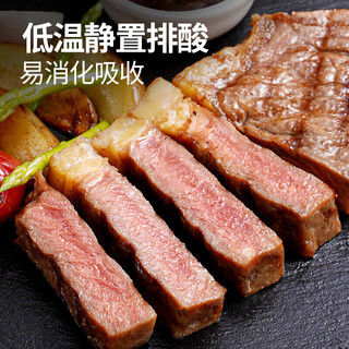  HITOMORROW/大希地 整切 牛排套装