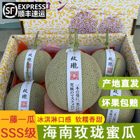 译优农 海南玫珑蜜瓜网纹瓜 5斤精选大果