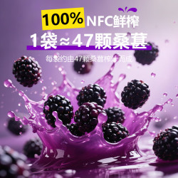 养益君 100%NFC桑葚汁 果汁饮料