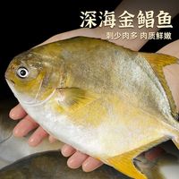 东上御品深海金鲳鱼4条超大鲳鱼新鲜冷冻银鲳白鲳冰鲜活水产