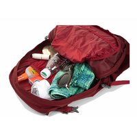 OSPREY OSPREY DAYLITE 日光 13L 多功能城市通勤双肩背包电脑包 可注册  深绿印花