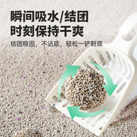 比亿奇膨润土猫砂20斤40斤大批量实惠装秒结团不沾底无尘除臭易冲厕 【升级除臭】玫瑰味40斤实惠装