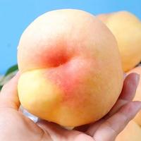 千朵云 当季新鲜江苏水蜜桃  9粒  单果200g+